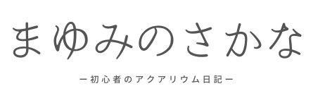 まゆみのさかな ー初心者のアクアリウム日記ー